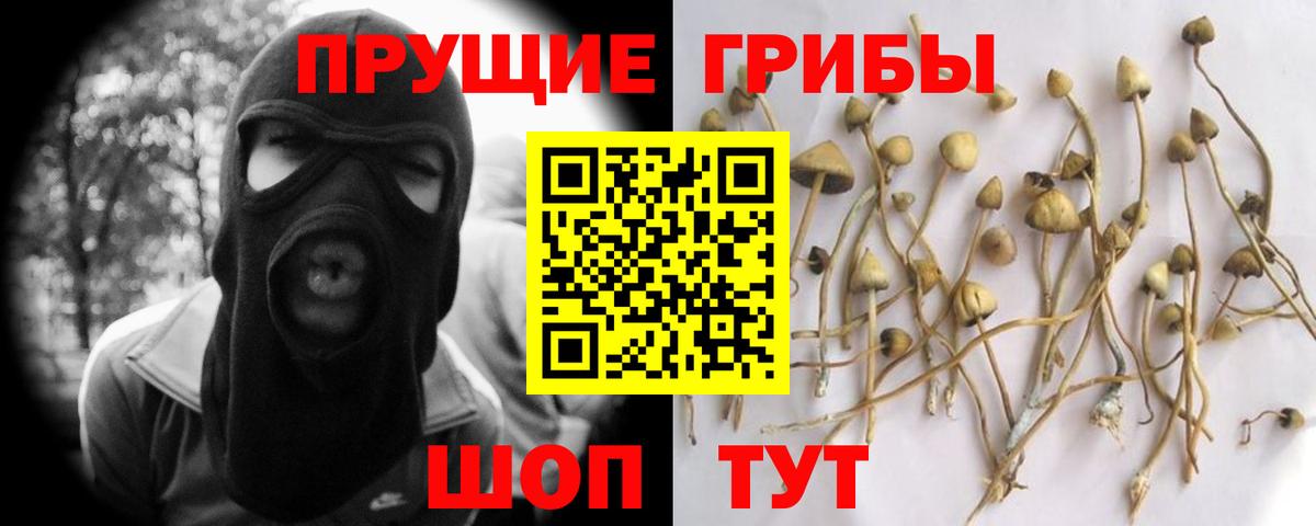Псилоцибиновые грибы Cubensis Нижневартовск